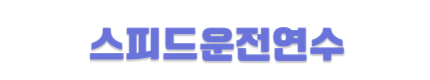 일산운전연수